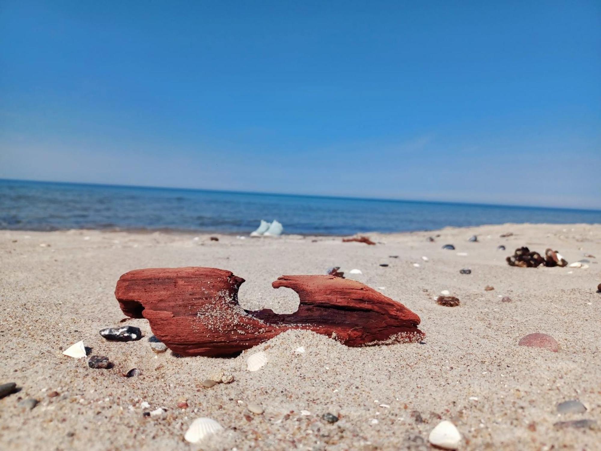 Fewo Weide - Ulenhoef Prerow Bagian luar foto