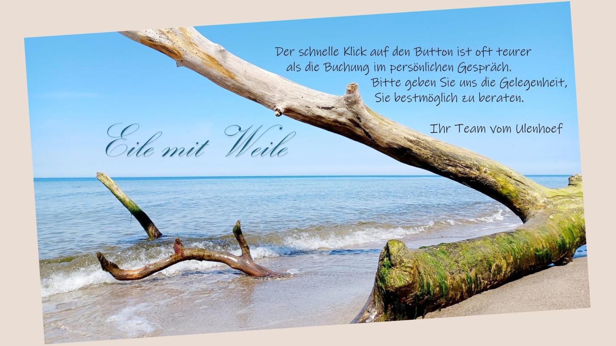 Fewo Weide - Ulenhoef Prerow Bagian luar foto