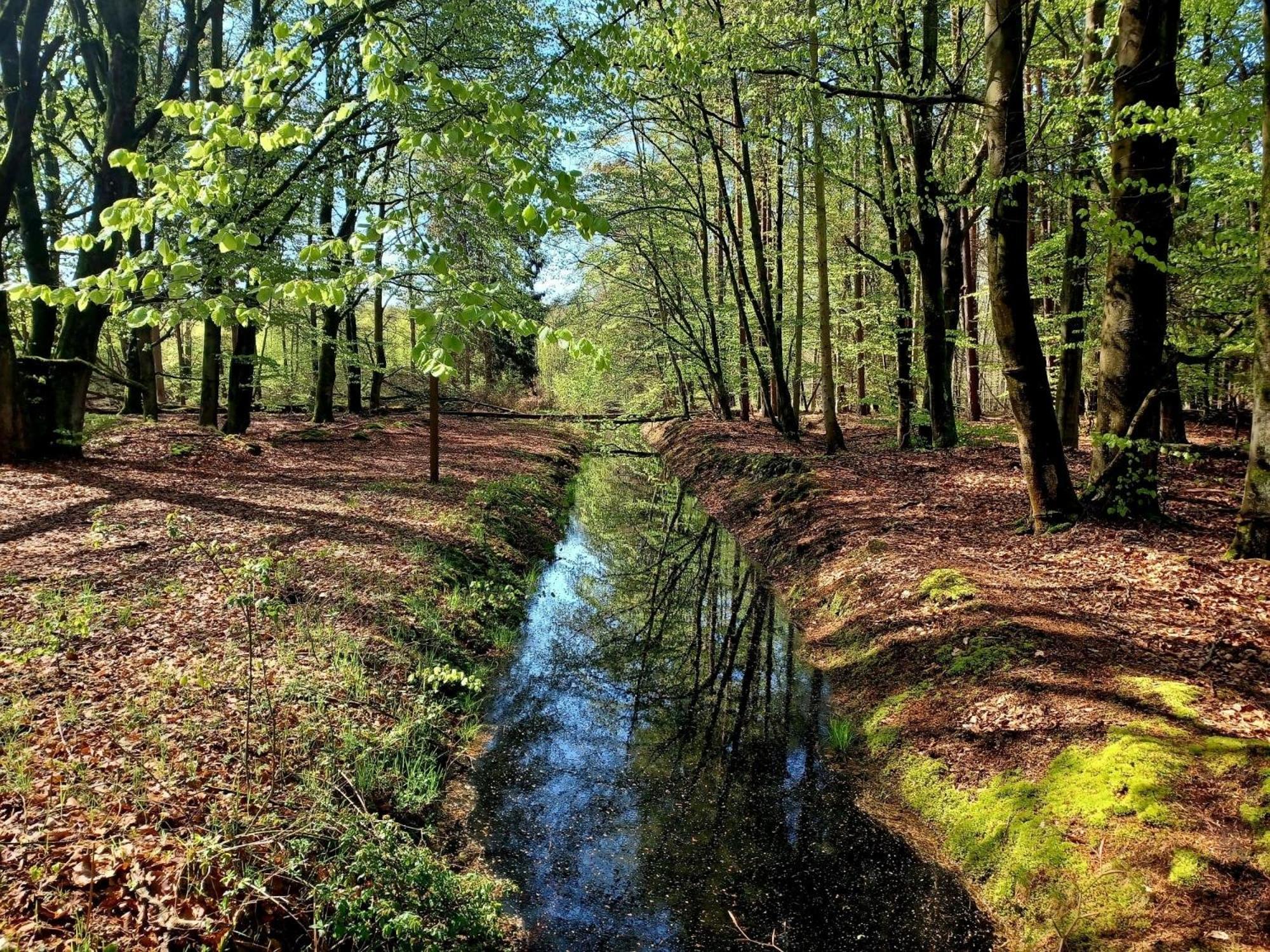 Fewo Weide - Ulenhoef Prerow Bagian luar foto